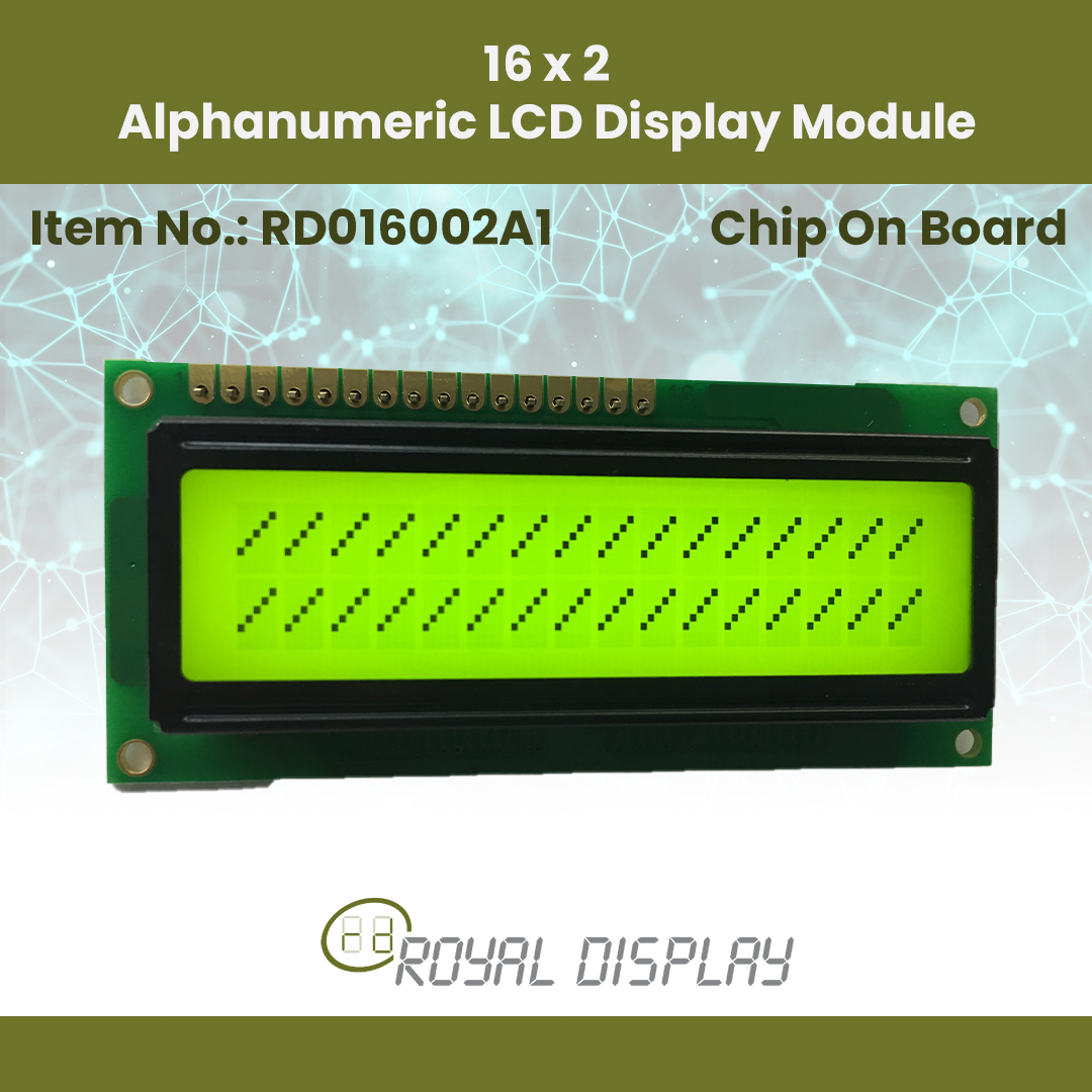16 2 Alphanumeric LCD Display Module RD016002A1 2